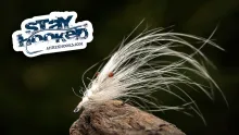 Video thumb for Öland Spey Shrimp Var.