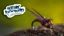 Video thumb for Walnut Stonefly Nymph