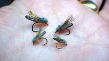 Video thumb for Detached Bodied Balloon Caddis