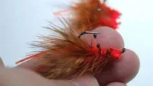 Video thumb for Crayfish Carp Fly