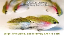 Video thumb for Articulated Rainbow Streamer