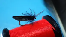 Video thumb for Coffin Caddis