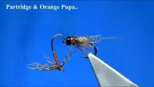 Video thumb for A Soft Hackle Wet and a Caddis Pupa