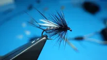 Video thumb for Adult Midge Black Hopper