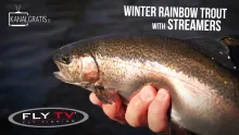 Video thumb for Winter Rainbow Trout with Streamers