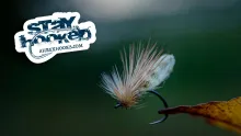 Video thumb for Caddis Emerger