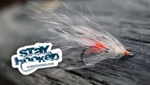 Video thumb for Racoon Spey Edition