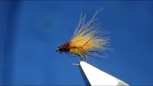 Video thumb for CDC Bubble Emerger Caddis