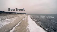 Video thumb for Sea Trout in the Snow