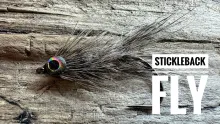 Video thumb for Stickleback Fly