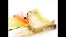 Video thumb for Make Easy Shrimp, Crab or Bug Eyes