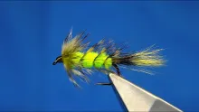 Video thumb for Tying Bragg's Dragonfly Nymph