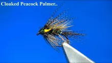 Video thumb for Cloaked Peacock Palmer