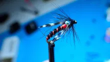 Video thumb for Adult Midge Duckfly