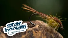 Video thumb for Pheasant Tail Nymph - PTN