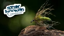 Video thumb for Swimming Caddis