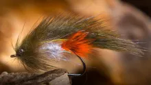 Video thumb for Squirrel Sculpin