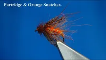 Video thumb for Partridge & Orange Snatcher