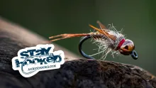 Video thumb for Brown Bead Stonefly