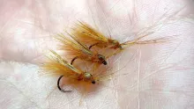 Video thumb for Coq de Leon Cinnamon Caddis