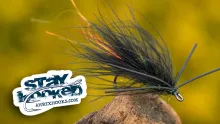 Video thumb for Black Woolly Bugger