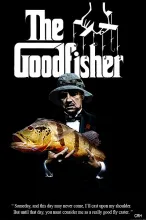 User submitted picture: No Tricks...