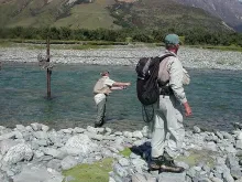 User submitted picture: Yes, there is a large bro...