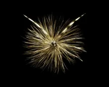 User submitted picture: Adams Irresistable fly ti...