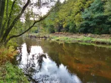 User submitted picture: mystery peaty water in fa...