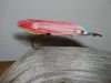 User submitted picture: Fire and Ice