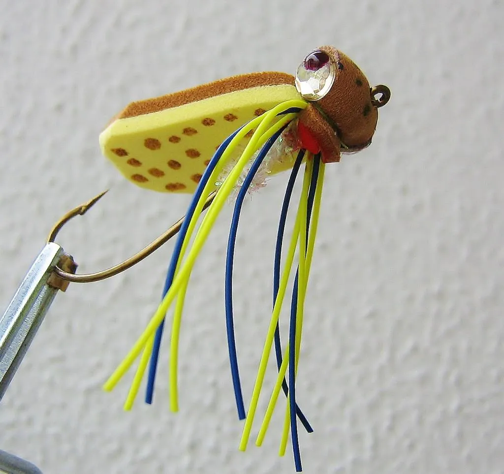 User submitted picture: Froggy for bass
