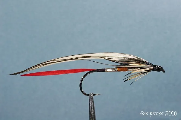 User submitted picture: experimentally streamer