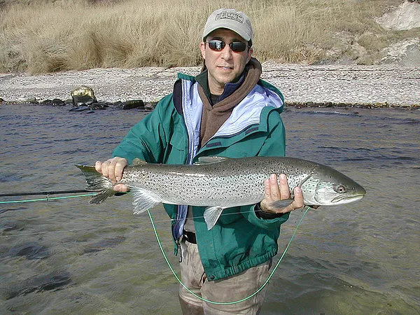 User submitted picture: A large, Danish kelt