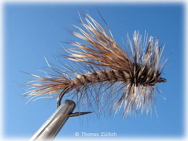 User submitted picture: Kaufmann's Stimulator - ...