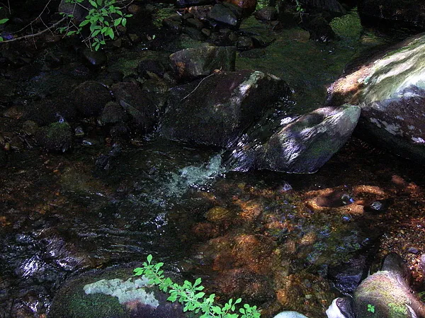 User submitted picture: An August Sanctuary