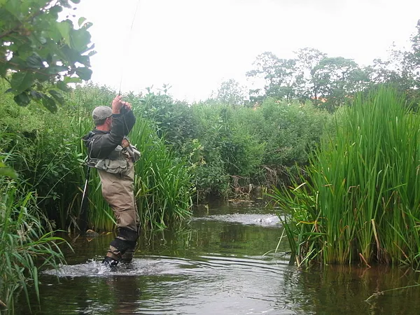 User submitted picture: Angling in lilliput - pla...