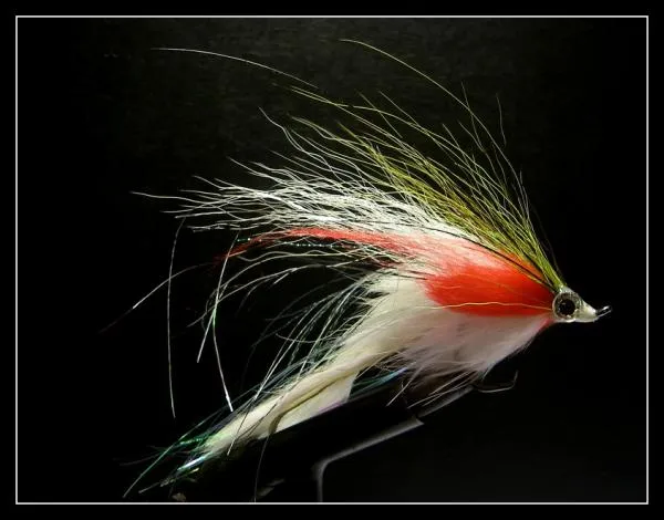 User submitted picture: pike fly#2