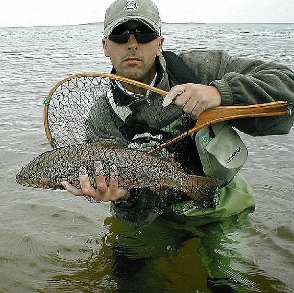 User submitted picture: O My God, it's a winner ...