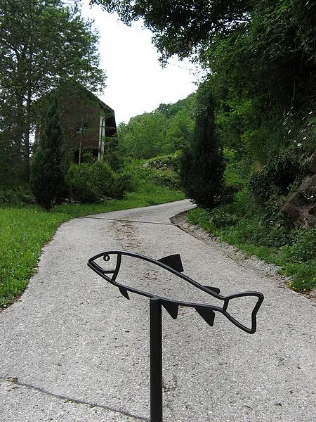 User submitted picture: Just Fun ! by guidepechem...