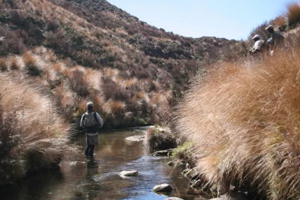 User submitted picture: The crowd watches on with...