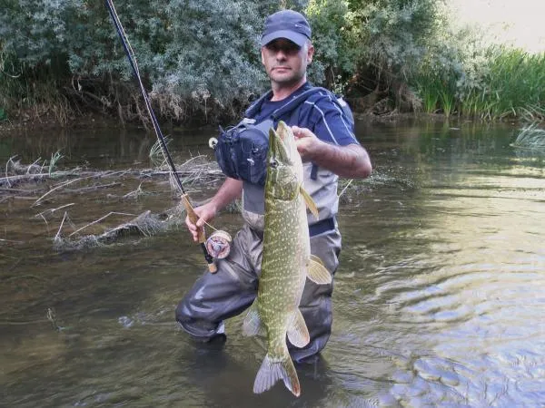 User submitted picture: The magic river