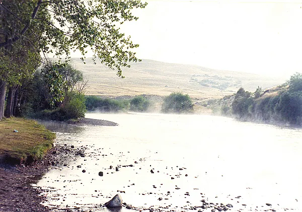 User submitted picture: the awakening of my hopes...