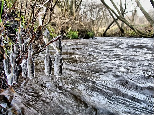 User submitted picture: ...from The Bank...