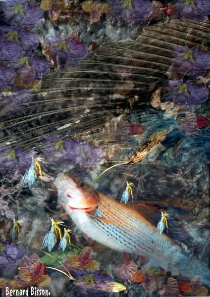 User submitted picture: This image is the result ...