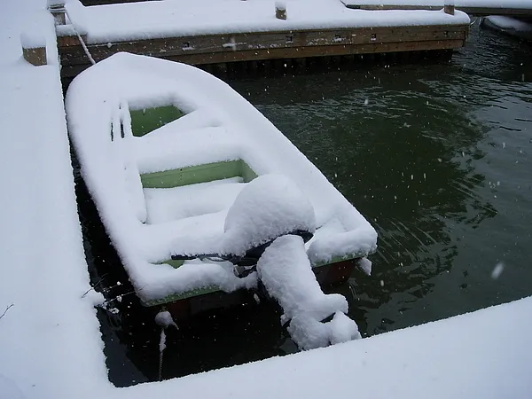 User submitted picture: Winter time