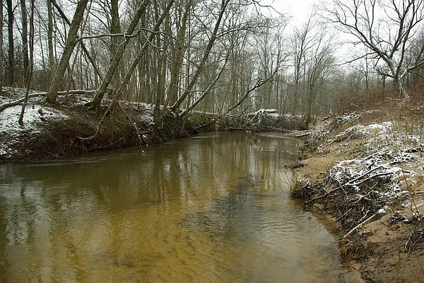 User submitted picture: first New Year day....