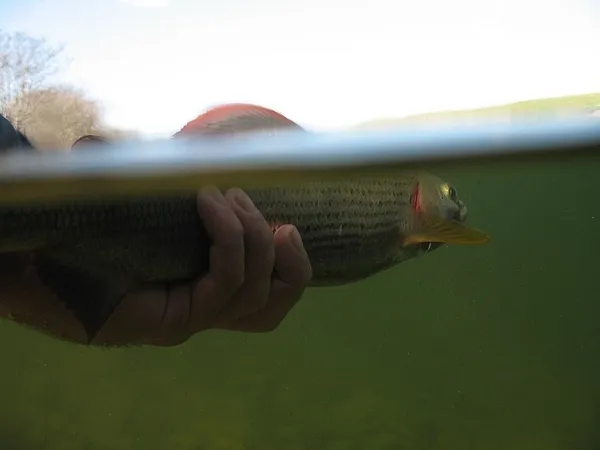 User submitted picture: Off You Go!!