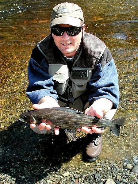 User submitted picture: Arctic Grayling on a Spri...