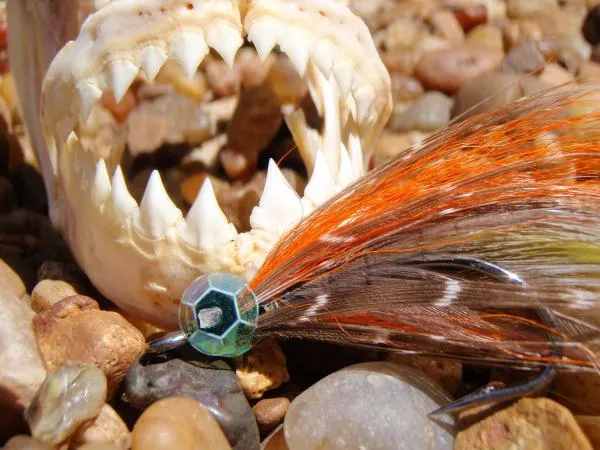 User submitted picture: One of the favorite flies...