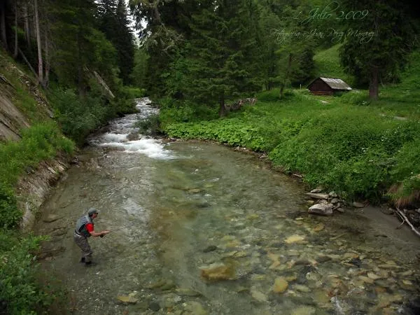 User submitted picture: I half-close natural priv...